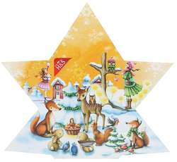 H&S Adventskalender Stern Filterbeutel