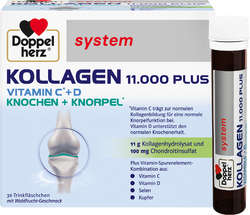 DOPPELHERZ Kollagen 11.000 Plus system Ampullen